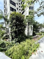 D'Leedon (D10), Condominium #559697711